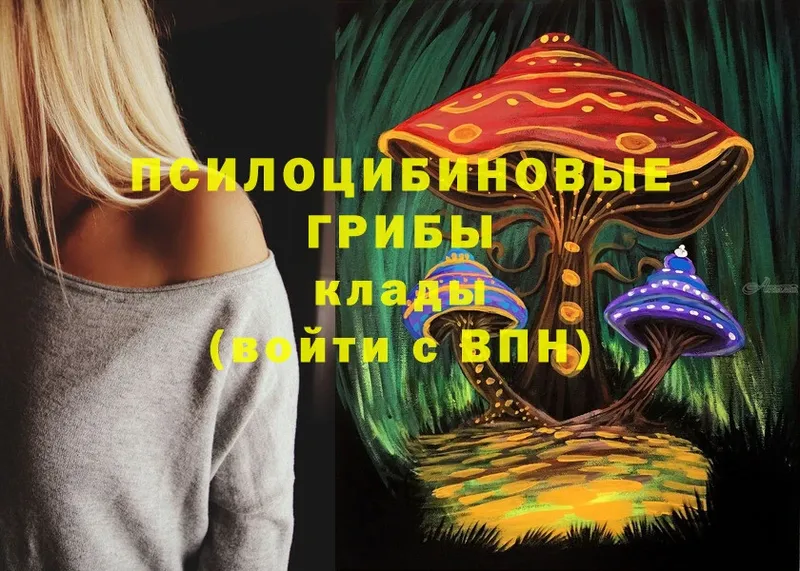 Галлюциногенные грибы Psilocybe  где можно купить наркотик  Верхняя Салда 